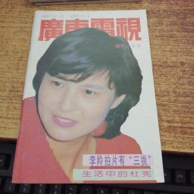 广东电视周刊   209