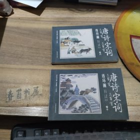 唐诗三百首 宋词三百首 连环画【卷六，卷九】