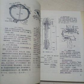 老年卫生保健（第一二三册）~山东老年大学教材