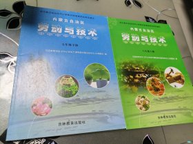 内蒙古自治区 劳动与技术
