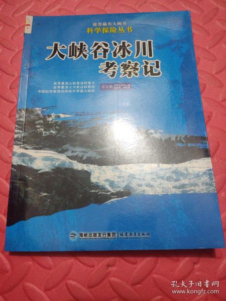 大峡谷冰川考察记——雅鲁藏布大峡谷科学探险丛书