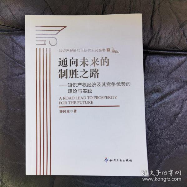 通向未来的制胜之路：知识产权经济及其竞争优势的理论与实践