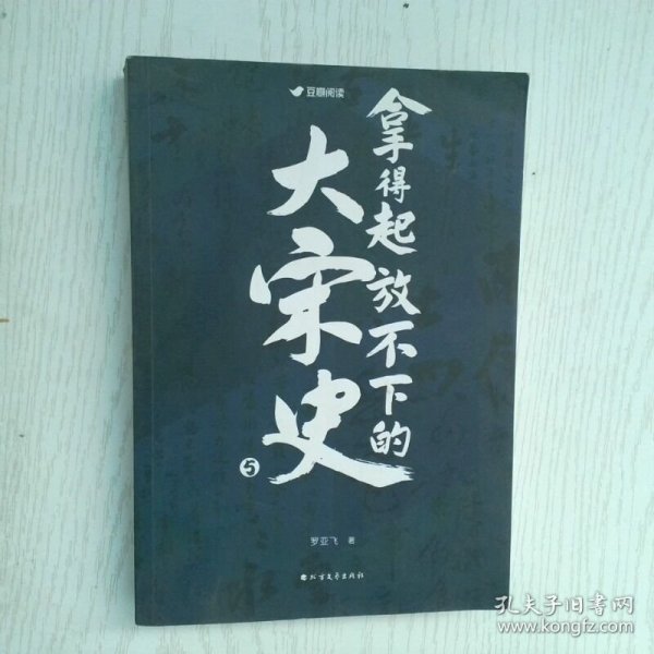 拿得起放不下的大宋史5