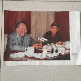 毛主席和林彪宣传画，中国共产党第九届中央委员会第一次全体会议上。本品中间有竖折，背面贴了一张保护纸，品相如图。
