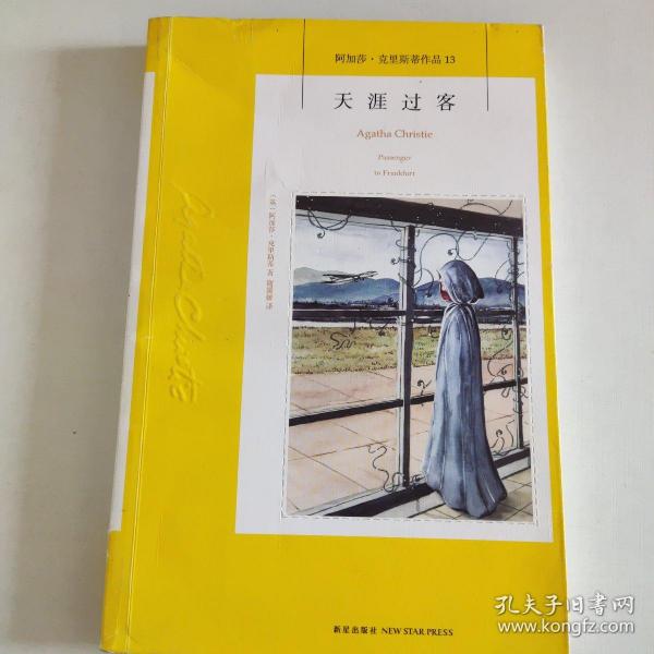 天涯过客：阿加莎·克里斯蒂侦探作品集13