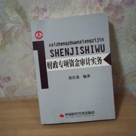 财政专项资金审计实务