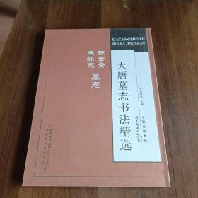 大唐墓志书法精选：张士贵、臧怀亮墓志