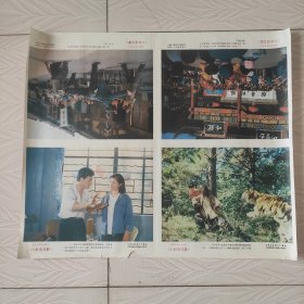 八十年代长春电影制片厂海报宣传画，八卦莲花掌1一4图，品相如图。