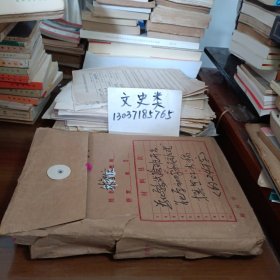 武汉大学林智信手稿一袋（收回时就在一个袋子里 ，原袋出售 ）