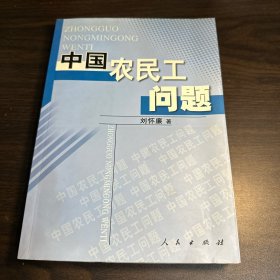 中国农民工问题