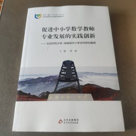 促进中小学数学教师 专业发展的实践创新