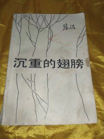 《沉重的翅膀》