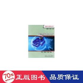 网络数据分析//网络传播丛书 网络技术 谢新洲
