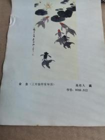 金鱼（三开条印有年历）
