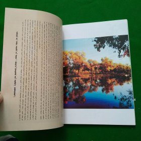 上都诗刊2014年5月第一期