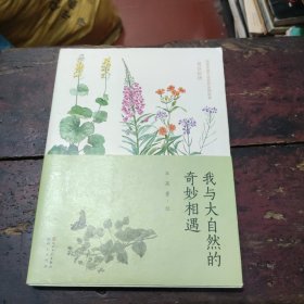 观察植物/我与大自然的奇妙相遇