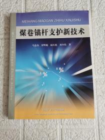 煤巷锚杆支护新技术