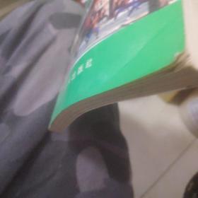 少林秘传外气发放功