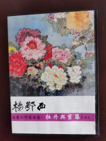 张大千弟子 著名女国画家杨鄂西教学（原版）视频光盘DVD（亲笔签名）牡丹与紫藤（二）