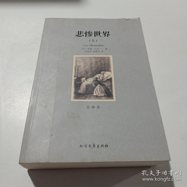 世界文学名著:悲惨世界(全译本)(套装共2册)