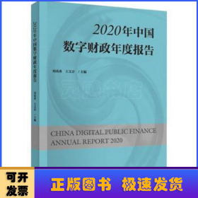 2020年中国数字财政年度报告