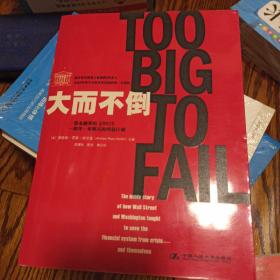 大而不倒：2010年全球政要和首席执行官争相阅读的金融危机启示录