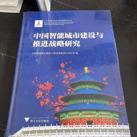 中国智能城市建设与推进战略研究