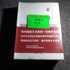 杭州优秀文艺家系列丛书. 摄影篇.（十五本合售）