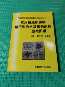 实用精液细胞学、精子形态及相关疾病显微图谱