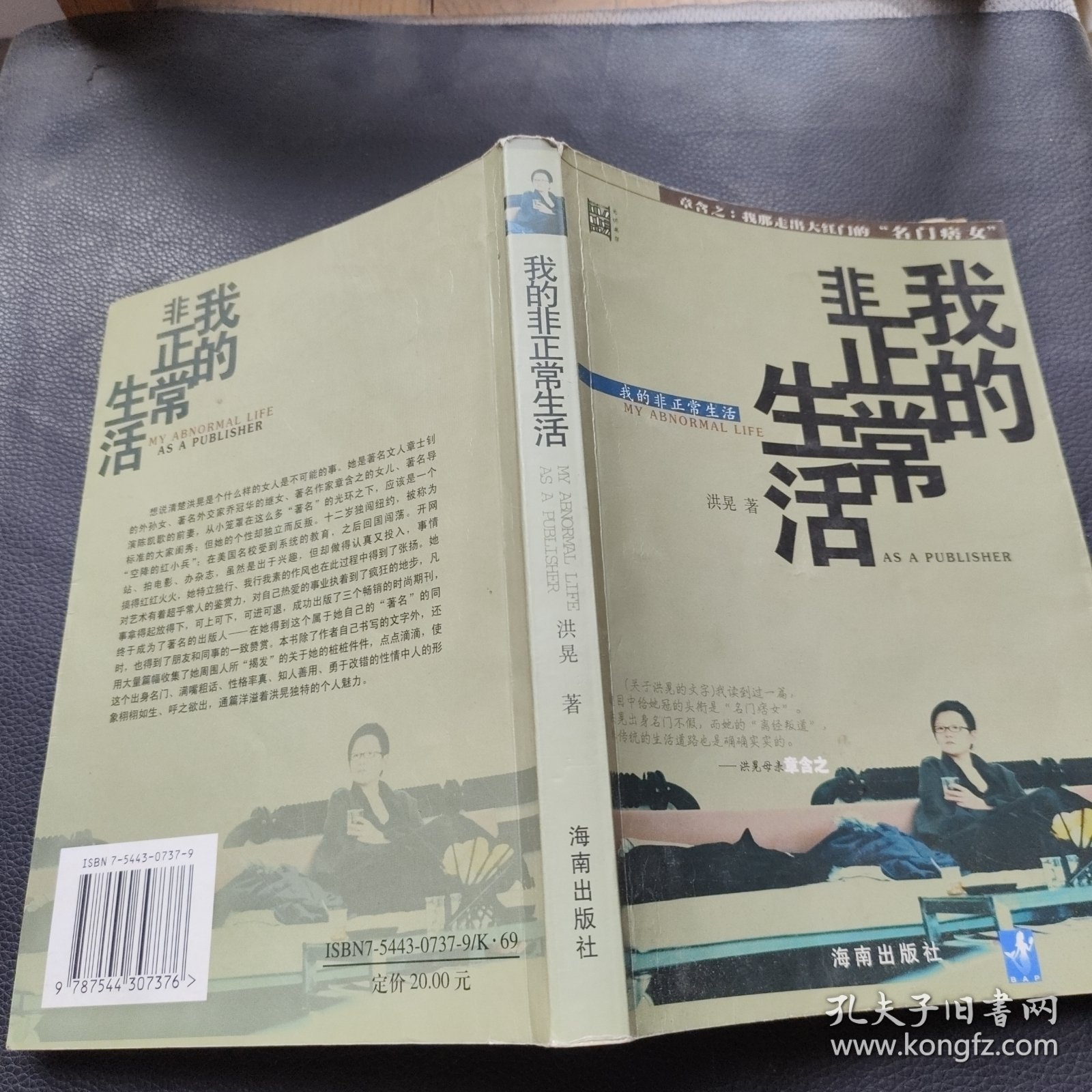 我的非正常生活：出版人洪晃传略
