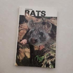 《RATS》SUSAN  FOX，英文书，看不懂什么名字