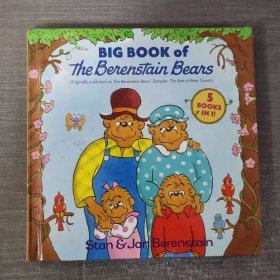 Big Book of the Berenstain Bears