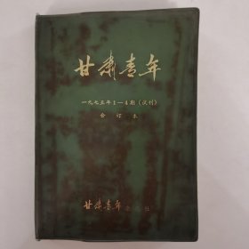 甘肃青年 试刊1-4期