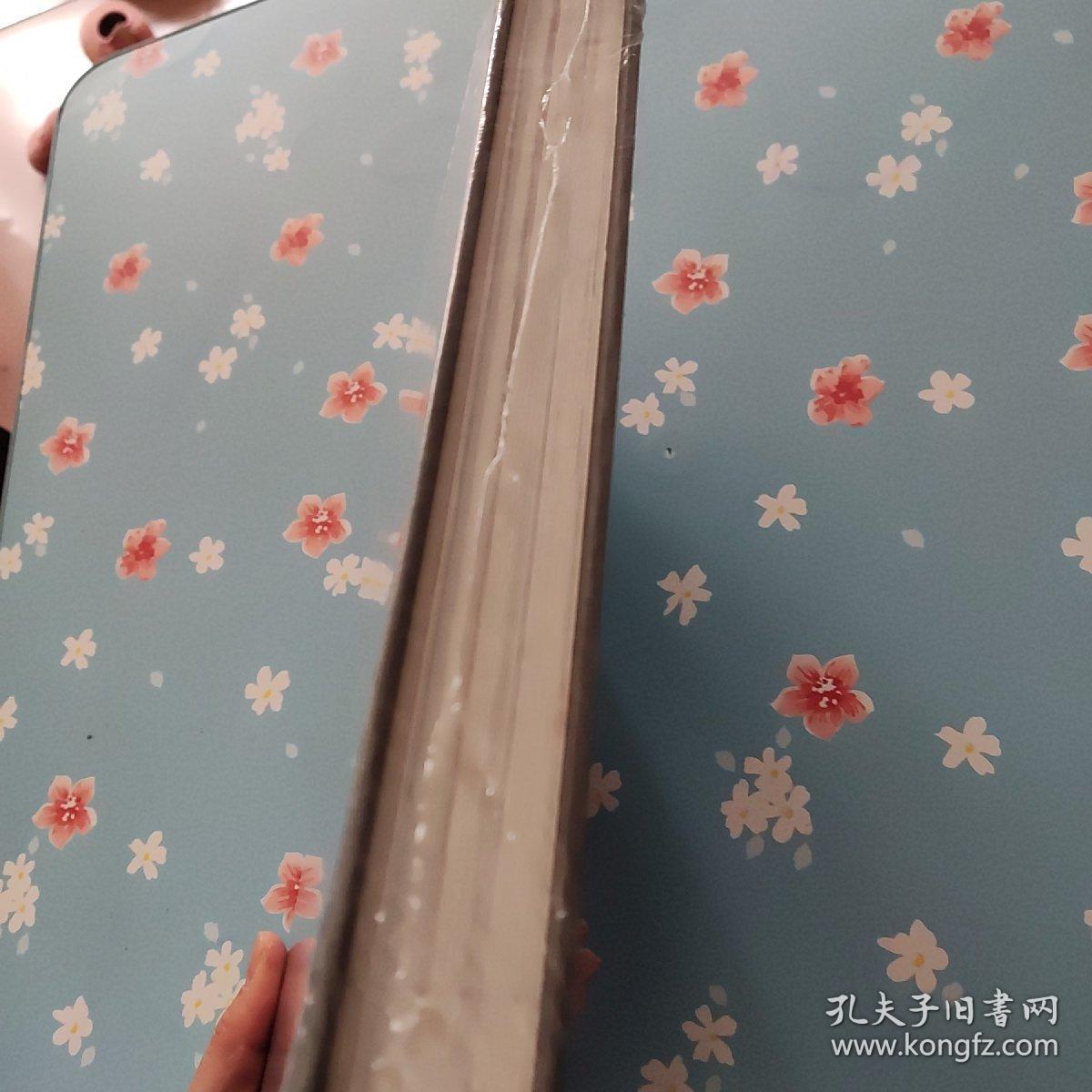 点击查看原图 中国文化遗产研究院援外文物保护工程项目成果集--2017-2019【精装未开封】