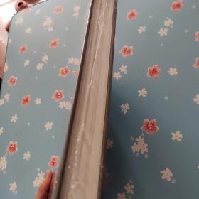 中国文化遗产研究院援外文物保护工程项目成果集--2017-2019【精装未开封】