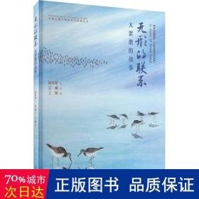 无形的联系--大滨鹬的故事(崇明东滩生物多样性科普丛书)