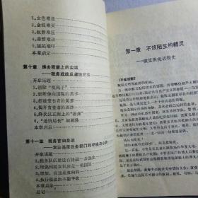 中国税务大透视:长篇报告文学