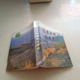 陇原大地的绿色革命，下