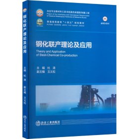 鋼化聯(lián)產(chǎn)理論及應用 杜濤;王義松 編