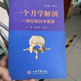 一个月学解剖：脊柱解剖学图谱