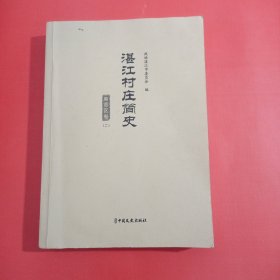 湛江村庄简史(草稿本)麻章区卷二