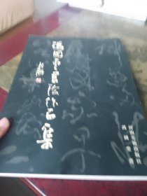 冯国堂书法作品集