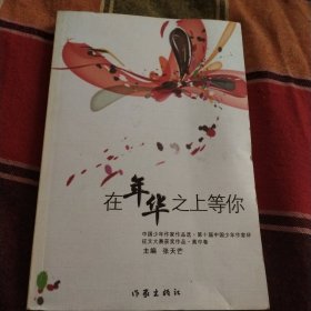 在年华之上等你
