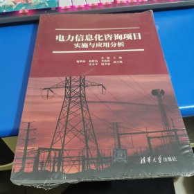 电力信息化咨询项目实施与应用分析
