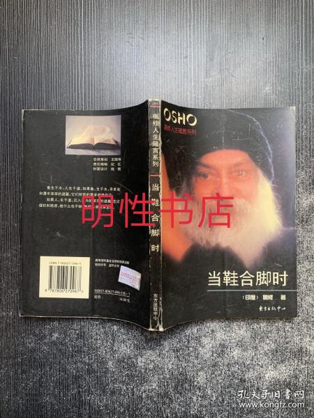 当鞋合脚时：奥修人生箴言系列