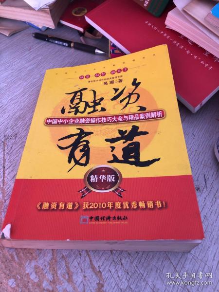 融资有道：中国中小企业融资操作技巧大全与精品案例解析