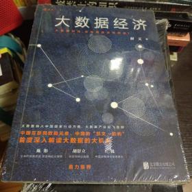 大数据经济：大数据时代，互联网加法如何做？