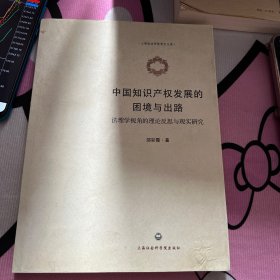 中国知识产权发展的困境与出路——法理学视角的理论反思与现实研究