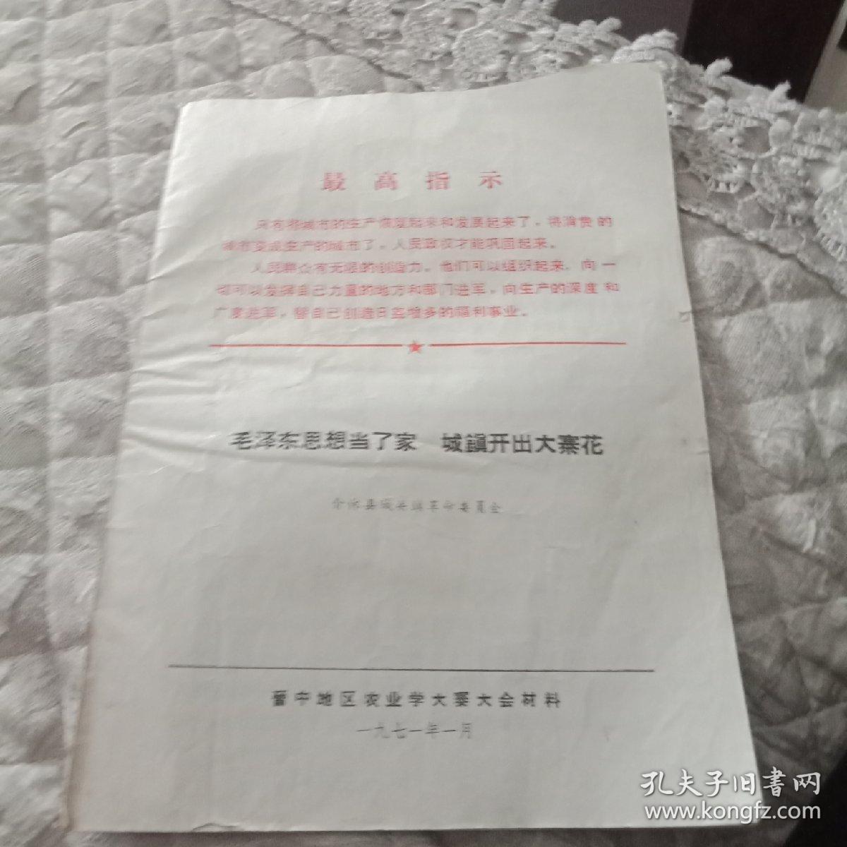 毛泽东思想当了家城镇开出大寨花