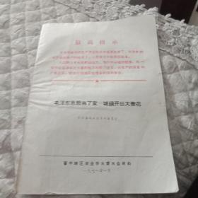 毛泽东思想当了家城镇开出大寨花